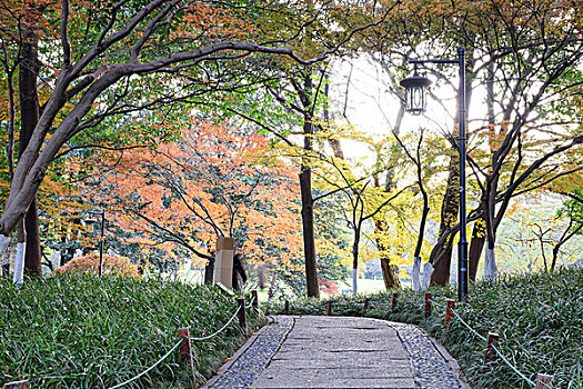 杭州太子湾公园秋景