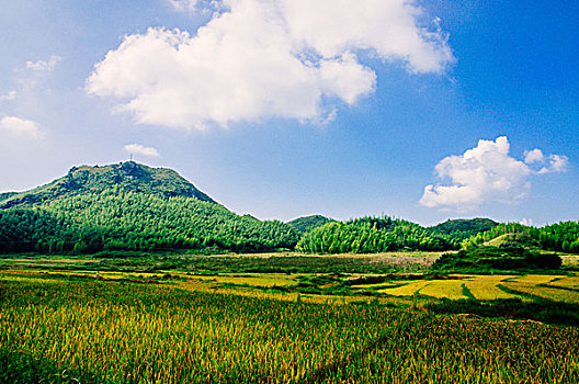 山岭风光