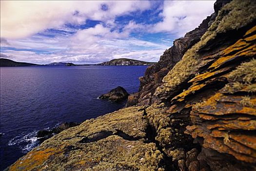 丁格尔湾,岩石,海岸线,丁格尔半岛,爱尔兰