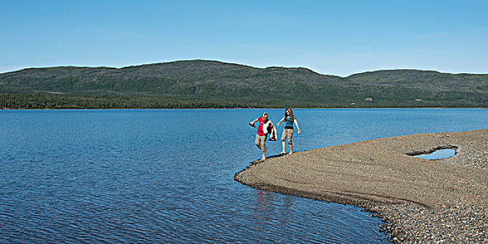 女孩,走,海滩,鲑鱼,河,水塘,格罗莫讷国家公园,纽芬兰,拉布拉多犬,加拿大