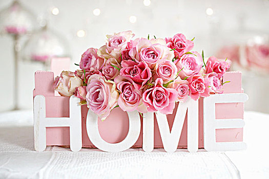 粉色,玫瑰,涂绘,水果,板条箱,装饰,文字,拼写,家