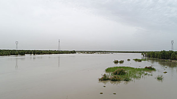 塔里木河湿地