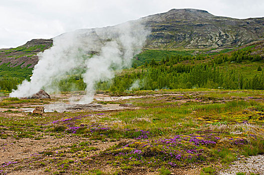冰岛,南,区域,间歇泉,蒸汽,喷发,地面
