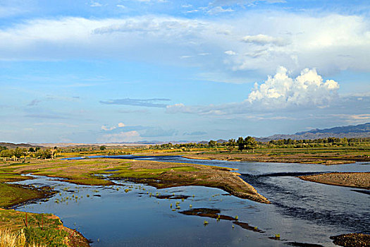 乌伦古河美景