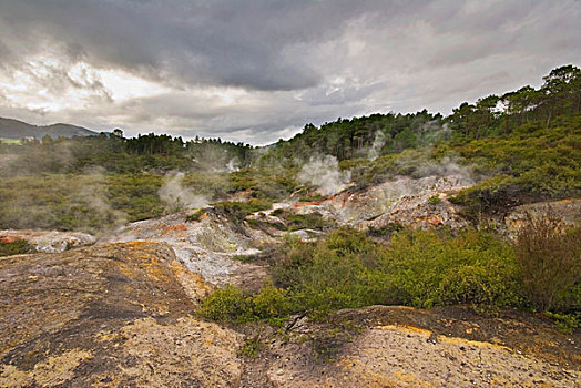 风景,温泉,怀奥塔普,陶波,火山,北岛,新西兰