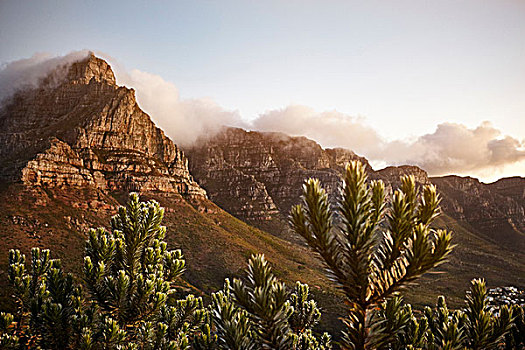 风景,狮子,头部,山,桌山,西海角,开普敦,南非,非洲