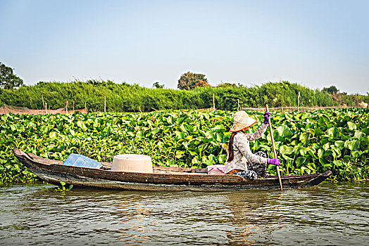 交易,划艇,漂浮,乡村,泛舟,树液,湖,柬埔寨,东南亚,亚洲