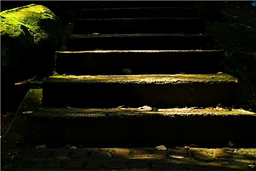 石头,台阶,绿色,苔藓