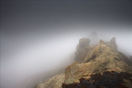 雾,上方,悬崖,北加利福尼亚,加利福尼亚,美国