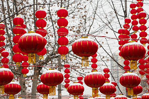 灯笼,雪,节日,年味,传统