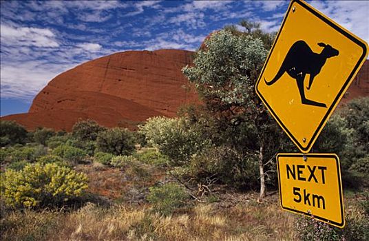 澳大利亚,北领地州,爱丽丝泉,交通标志,警告,袋鼠,旁侧,道路,内陆,红岩,奥加斯石群,后面