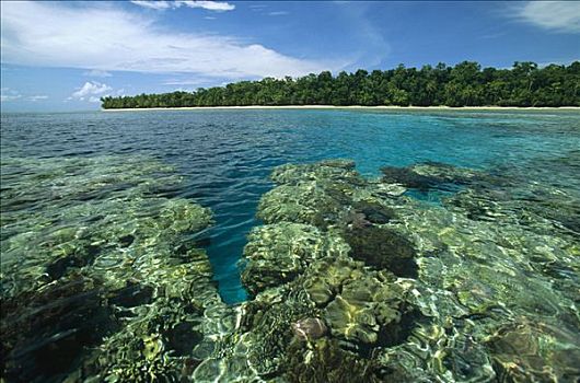 珊瑚礁,泻湖,围绕,白沙,海滩,棕榈树,伊里安查亚省,印度尼西亚