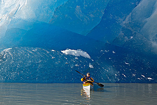 湖,大,蓝色,冰山,背景,东南阿拉斯加,夏天