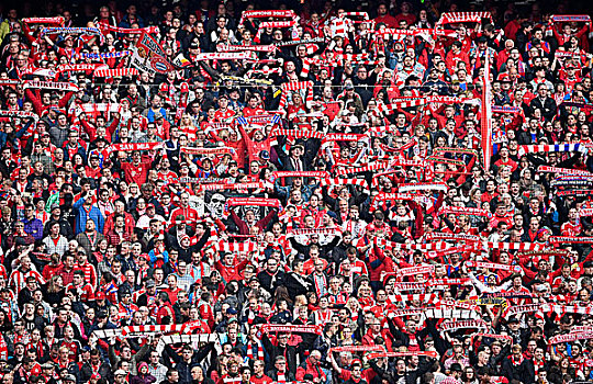 球迷,旗帜,拜恩州,竞技场,慕尼黑,巴伐利亚,德国,欧洲