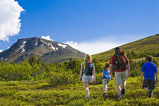 家庭,远足,小路,仰视,上面,山,阿尔卑斯山,区域,楚加奇州立公园,阿拉斯加
