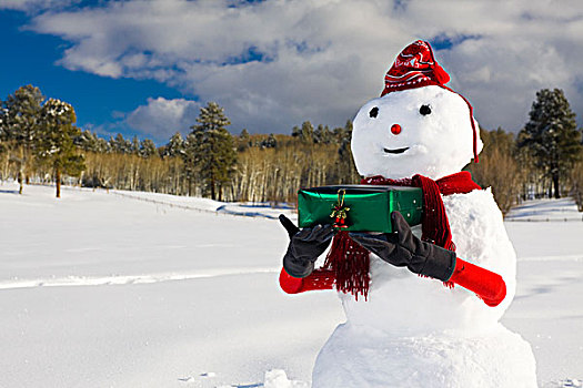 雪人,拿着,包装,礼物,雪盖,土地,圣胡安山,背景,科罗拉多,冬天