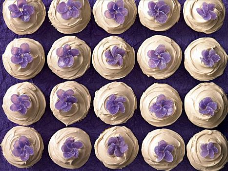 杯形蛋糕,紫色,糖,花