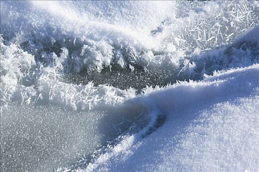冰,雪,水塘,安大略省,加拿大