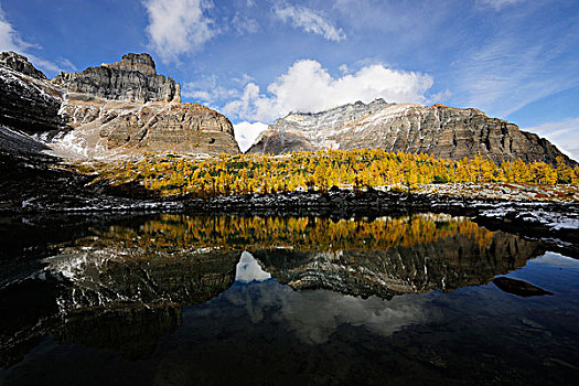 黄色,色彩,落叶松属植物,树林,顶峰,反射,高山湖,班芙国家公园,艾伯塔省,加拿大,北美