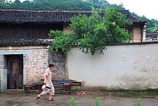 东钱湖,韩岭村,山村,老街,古韵