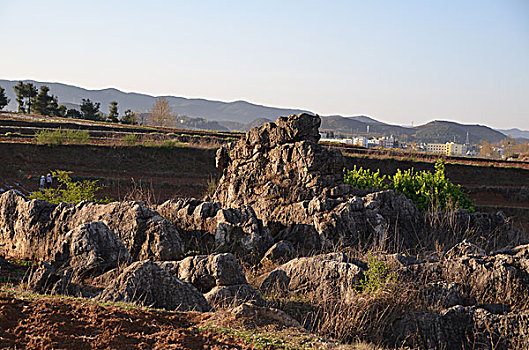 小尖山石林景观