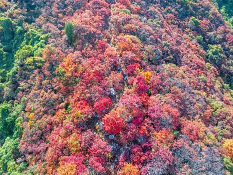 航拍济南彩石劈山红叶