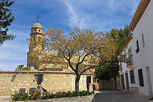 大教堂,16世纪,巴埃萨,省,安达卢西亚,西班牙,欧洲
