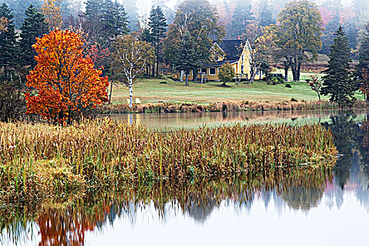 水塘,猎捕,河,爱德华王子岛,加拿大,反射,秋天,房子