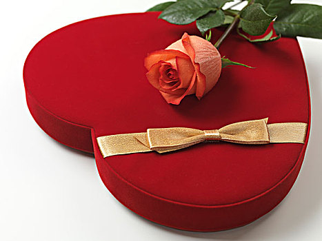 红色,心形,礼盒,粉红玫瑰