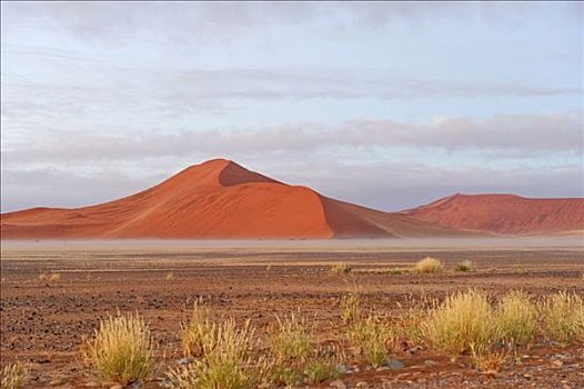 沙丘,靠近,晨雾,纳米比亚,非洲