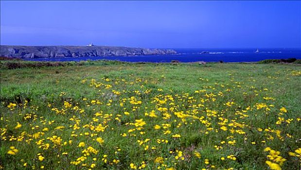 法国,布列塔尼半岛,风景,靠近,赫兹海岬