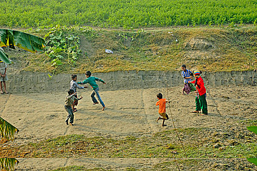 孟加拉人,孩子,玩,传统,比赛,早晨,孟加拉,十二月,2007年