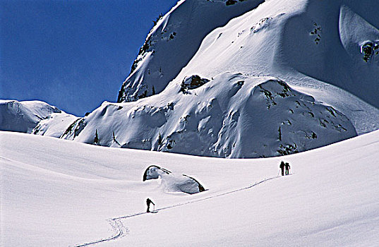 滑雪者,靠近,山,北方,不列颠哥伦比亚省,加拿大