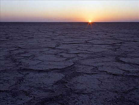 日出,上方,盐磐,图案,土地,粗糙,风景,特色,盐,西部,两个,巨大,宽阔,马卡迪卡迪盐沼,区域,北方,卡拉哈里沙漠,一个