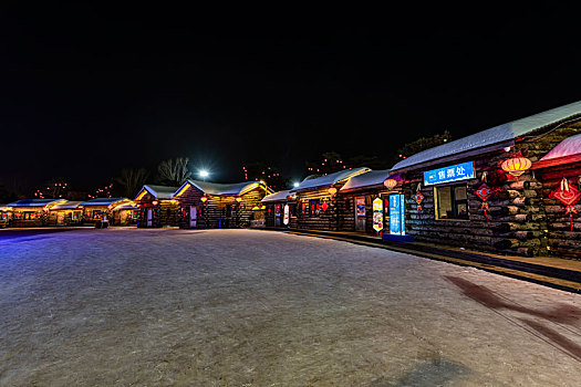 中国长春世界雕塑公园冰雪乐园夜景