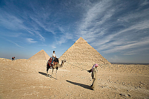引导,骆驼,乘客,金字塔