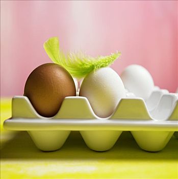 蛋,蛋架,绿色,羽毛