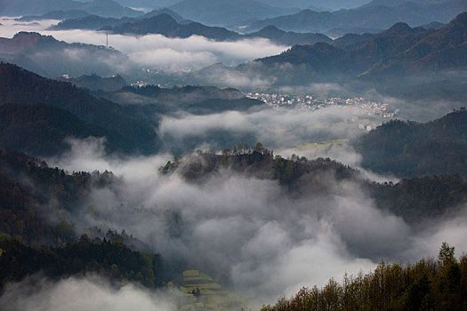 石潭,云海,安徽,山沟,油菜花,风光,壮观,气候,环境,仙境,诱惑,秀美,俯瞰,村庄