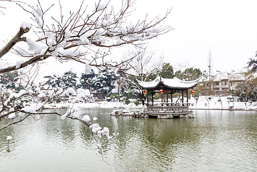 南京愚园雪景