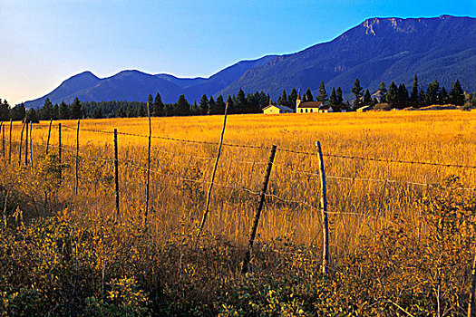 棍,铁丝栅栏,山峦,温德米尔,不列颠哥伦比亚省,加拿大
