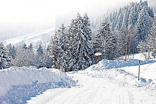 法国,雪路