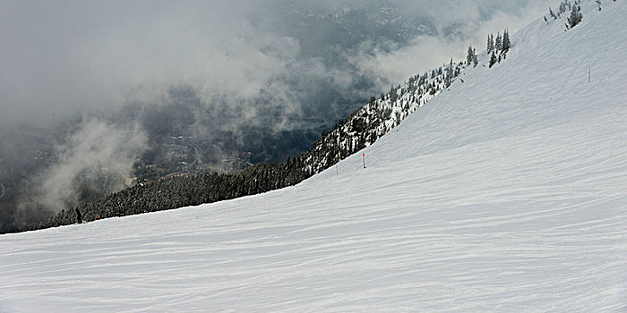 滑雪轨迹,雪,山,惠斯勒,不列颠哥伦比亚省,加拿大