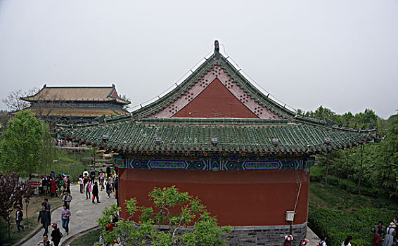 菏澤牡丹園