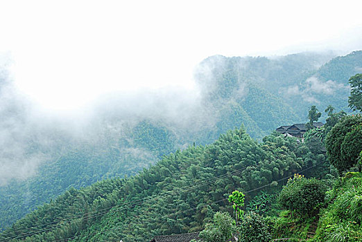 大山里的田园春色