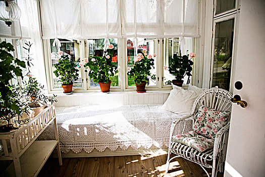 白色,藤条,扶手椅,沙发,毯子,仰视,窗户,盆栽,窗台,凉廊