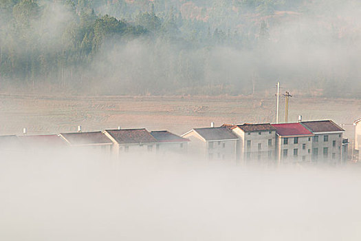 雾海,风景如画