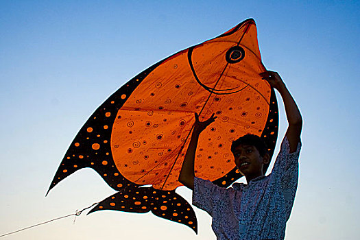 风筝,流行,孩子,成年,孟加拉,达卡,2008年