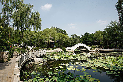 天津,西沽公园