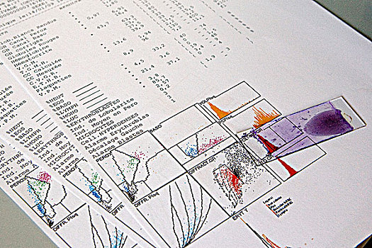 实验室,血
