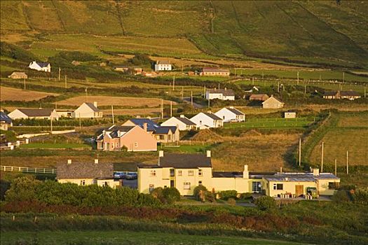 房子,乡村,斯莱角,丁格尔半岛,凯瑞郡,爱尔兰